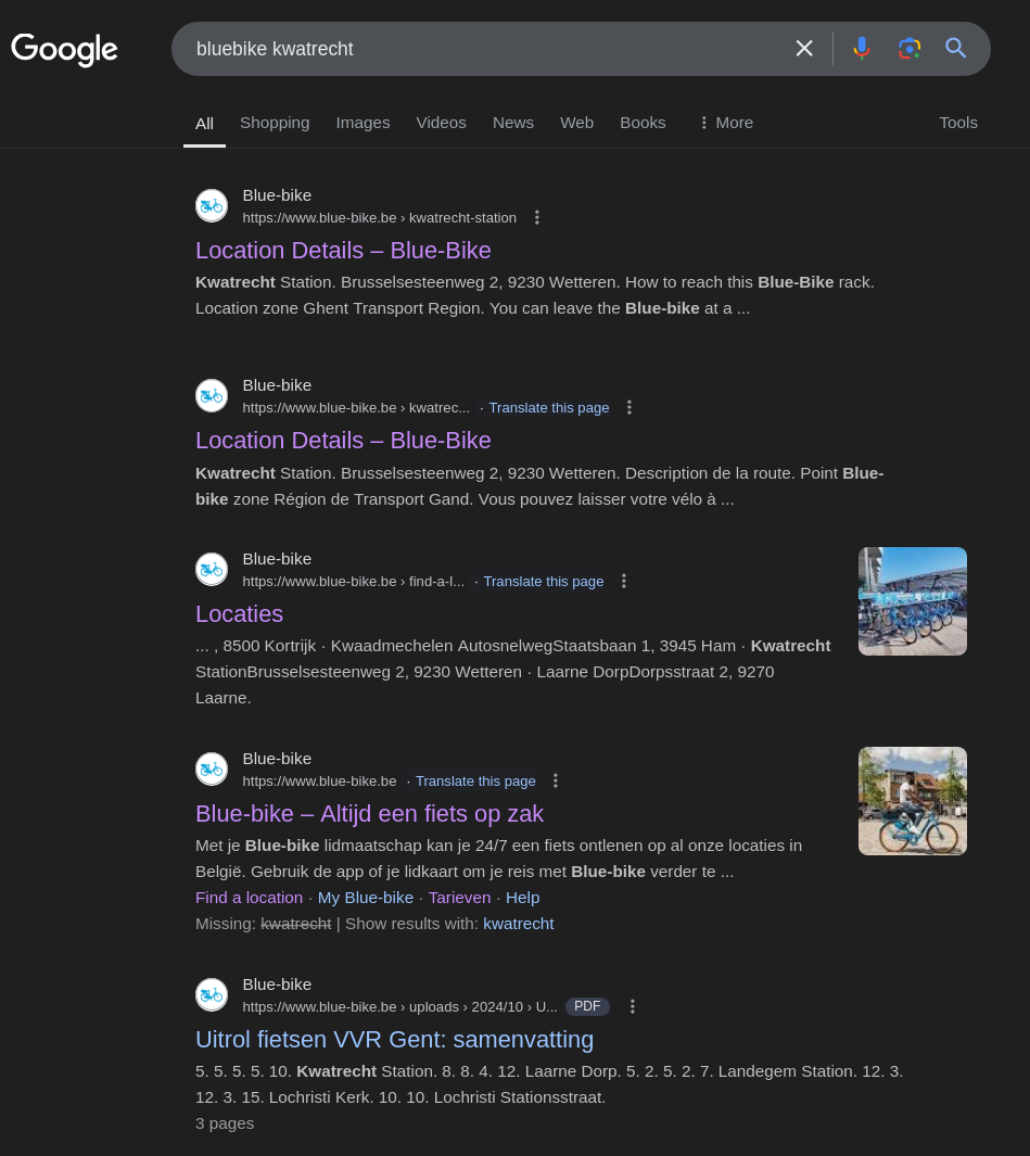 screenshot-2024-11-15-at-17-23-01-bluebike-kwatrecht-google-search.png