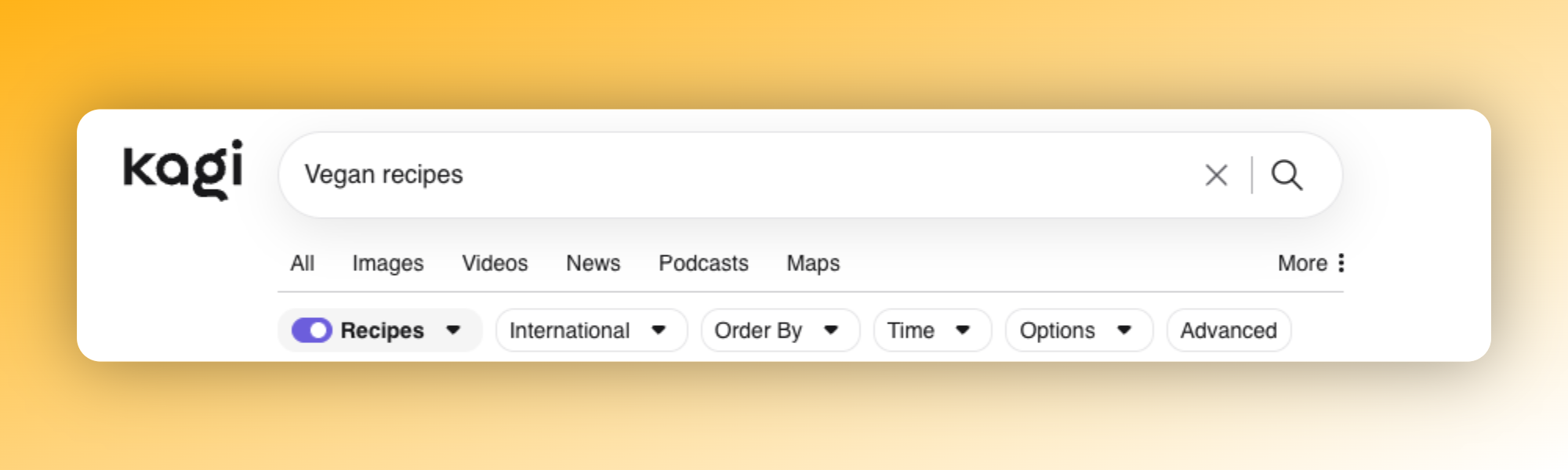 Kagi Lenses interface