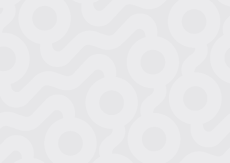 Animated gif file showing how to use domain ranking on Kagi Search through the shield icon for each domain on the results page, displaying various adjustments such as blocking or pinning a domain